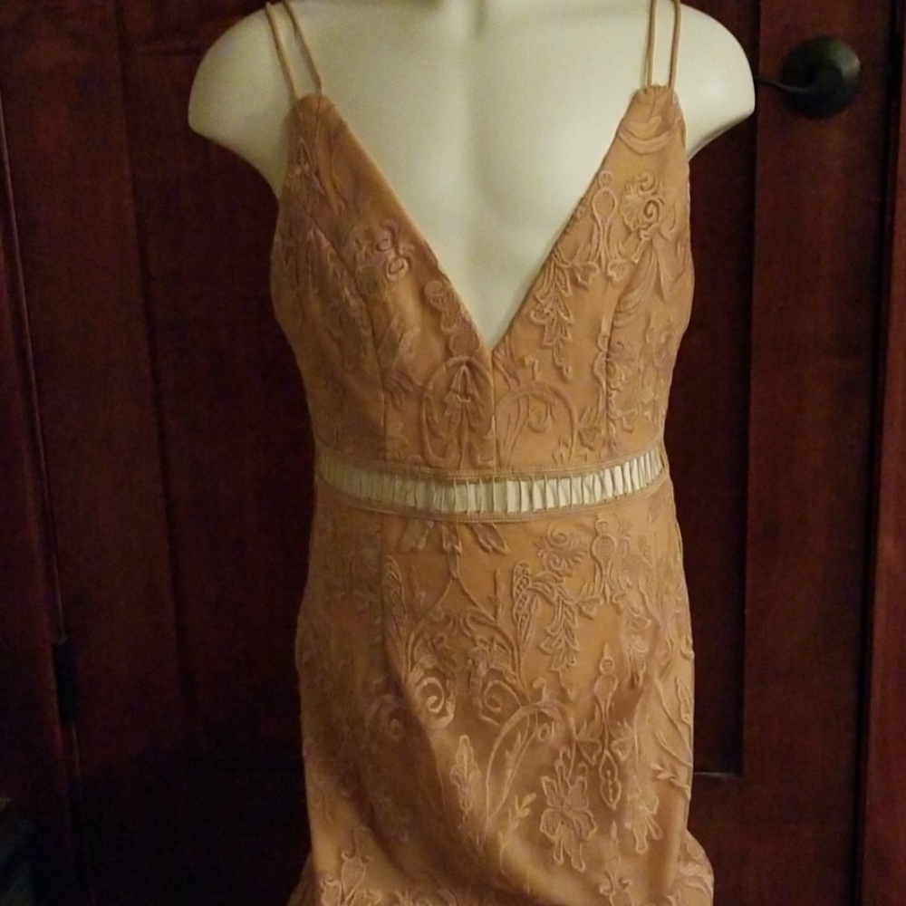 Pink lily dress NWT